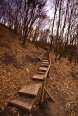 Китаево Китаево